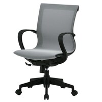 �b�e�|�P�O�l�i�O���[�j�@�I�t�B�X�`�F�A�@���b�V���^�C�v�@�J���[�F�O���[�y���[�J�[�����^����n���z