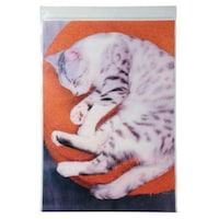 �W�b�p�[�o�b�O�@�����Q�˂��@�~�[�@�`�S�~�P�O