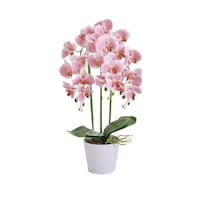 ���ԁ@�Ӓ��������@�R�{���@�s���N