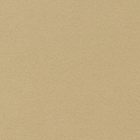 �v���[���J�[�h�r�@���S�@�x�[�W��