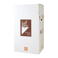 ���@�t�����[�M�t�g�{�b�N�X�@�r�|�P�S