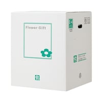 ���@�t�����[�M�t�g�{�b�N�X�@�d�|�S