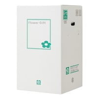 ���@�t�����[�M�t�g�{�b�N�X�@�d�|�P�P