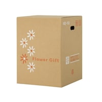 ���@�t�����[�M�t�g�{�b�N�X�@�l�a�|�P�O�O