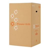 ���@�t�����[�M�t�g�{�b�N�X�@�l�a�|�P�S�O