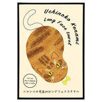 �ѕ��݃����O�t�F�C�X�^�I���~�R