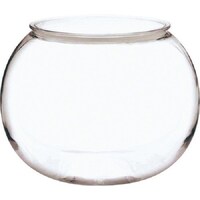 �o�b�|�e�a�R�O�O�@�{�[���i�r�j�@�t�@�C�R�O�O���g�Q