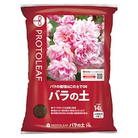 �o���̓y�@�P�S�k�@�p�y�@�o���p