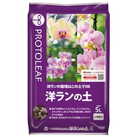 �m�����̓y�@�T�k�@�p�y�@�m�����p