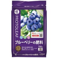 �u���[�x���[�̔엿�@�V�O�O���@�엿�@�ʎ��p