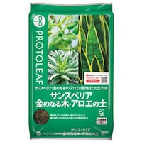 �T���X�x���A���̂Ȃ�؃A���G�̓y�@�T�k