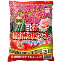 ���y�������@�����@�T�O�O���@�엿�@�ėp