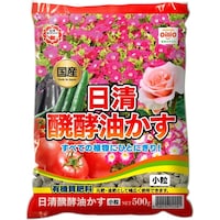 ���y�������@�����@�T�O�O���@�엿�@�ėp