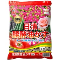 ���y�������@�����@�Q�����@�엿�@�ėp