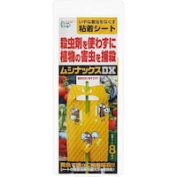 ���V�i�b�N�X�c�w�@�W��