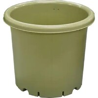 �`�y�x�W�|�b�g�@�P�O���@�O���[��