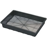 �s�b�L���O�g���[�@�T�O�^�@�u���b�N