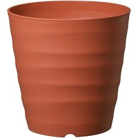 �t���O���[�|�b�g�@�Q�P�^�@�u���E���@�A�ؔ��@�v���X�`�b�N