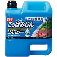 �_��@�����ς݂���V�����[�@�S�k