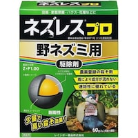 �l�Y���X�v���@�Q���w�R�O