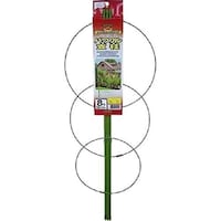 �p���t���x���@�W���@�V�T�����@�x���@�����O�x��