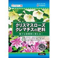 �N���X�}�X���[�Y�E�N���}�`�X�̔엿�@�T�O�O��