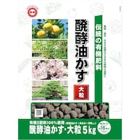 �`�����y�������嗱�@�T�����@�엿�@�ėp