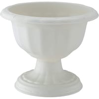 �N�C�[���J�b�v�@�Q�W�^�@�z���C�g�@�A�ؔ��@�v���X�`�b�N