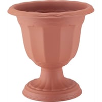 �N�C�[���J�b�v�@�c�|�Q�W�^�@�u���E���@�A�ؔ��@�v���X�`�b�N