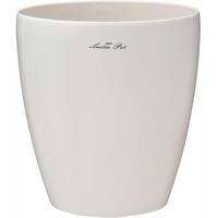 ���X�^�[�|�b�g�@�Q�U�T�^�@�z���C�g�@�A�ؔ��@�v���X�`�b�N