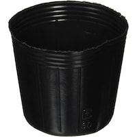 �|���|�b�g�@�P�O�O�o�i�|�����@���j�@�U����