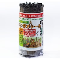 �����_���V�[�g�@�Q�����@�R�O�������Q�����P�W����