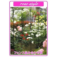 ���[�Y�X�^�C���@�f�R���@�k�P�X�O�����@�x���@�o���p