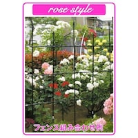 ���[�Y�X�^�C���@�X�}�[�g�@�k�P�W�O����