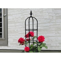 �I�x���X�N�@�k�@�Q�P�O����