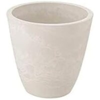 �{�^�j�[�@�v���[���|�b�g�@�P�T�^�@�z���C�g�@�A�ؔ��@�v���X�`�b�N