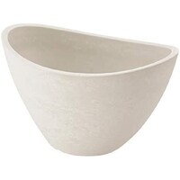 �{�^�j�[�@�o���J�{�[���@�R�O�^�@�z���C�g�@�A�ؔ��@�v���X�`�b�N