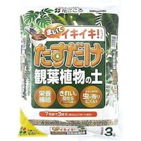 ���������ϗt�A���̓y�@�R�k