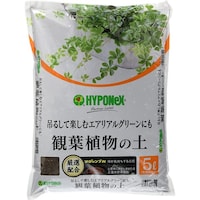 �ϗt�A���̓y�@�T�k�@�p�y�@�ϗt�A���p