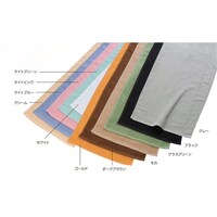 �Q�U�O�惌�s�A�X�����J���[�^�I���@�u���b�N