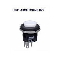 �ی`�ƌ��������{�^���X�C�b�`�i�k�o�O�P�V