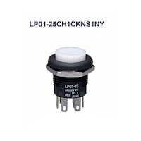 �ی`�ƌ��������{�^���X�C�b�`�i�k�o�O�P�V