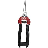 �N���V�b�N�@�X�e��������@���n