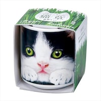 �����傱�ŔL���@��