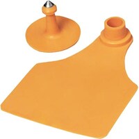 �C���[�^�b�O�P�O����