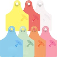 �C���[�^�b�O�P�O����