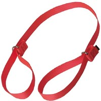 �Y�ȃo���h�R�O�C���`�Q����