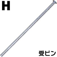 �󂯃s���T��