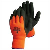 �E�C���^�[���C�g�V�R�S���w�����@�r