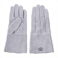 ���U�������D�@�n�ڂT�{�w�@���P�P�P�T